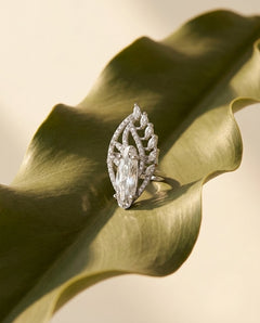 Sterling Silver Moissanite & Cubic Zirconia American Diamond Ring